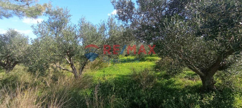 Οικόπεδο 4.000 τ.μ. πρός ενοικίαση, Ν. Χανίων, Ακρωτήρι