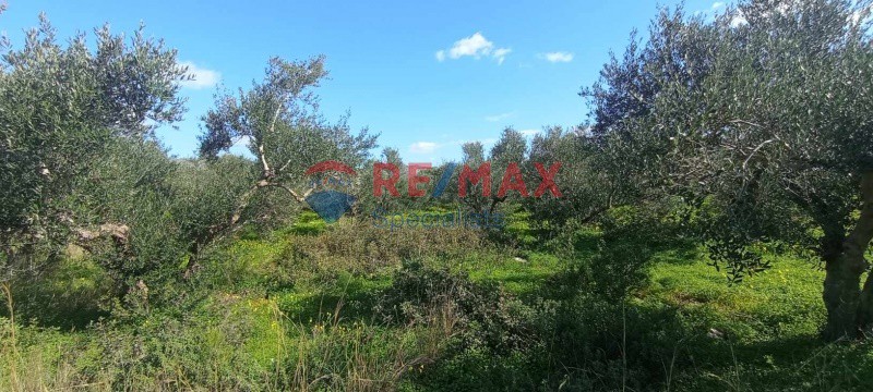 Οικόπεδο 4.000 τ.μ. πρός ενοικίαση, Ν. Χανίων, Ακρωτήρι