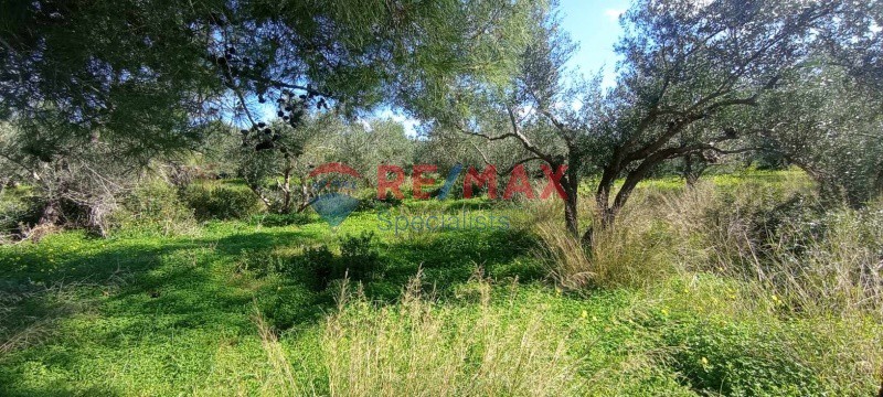 Οικόπεδο 4.000 τ.μ. πρός ενοικίαση, Ν. Χανίων, Ακρωτήρι