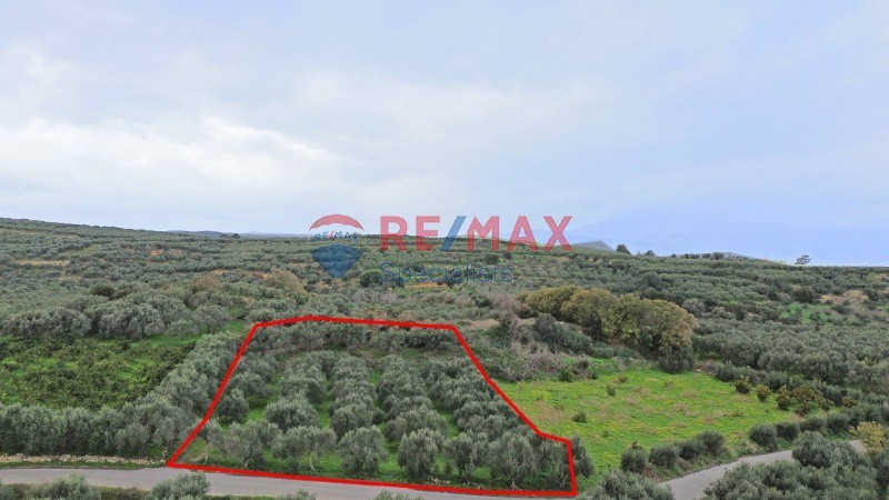 Οικόπεδο 4.091 τ.μ. πρός πώληση, Ν. Χανίων, Βουκολιές
