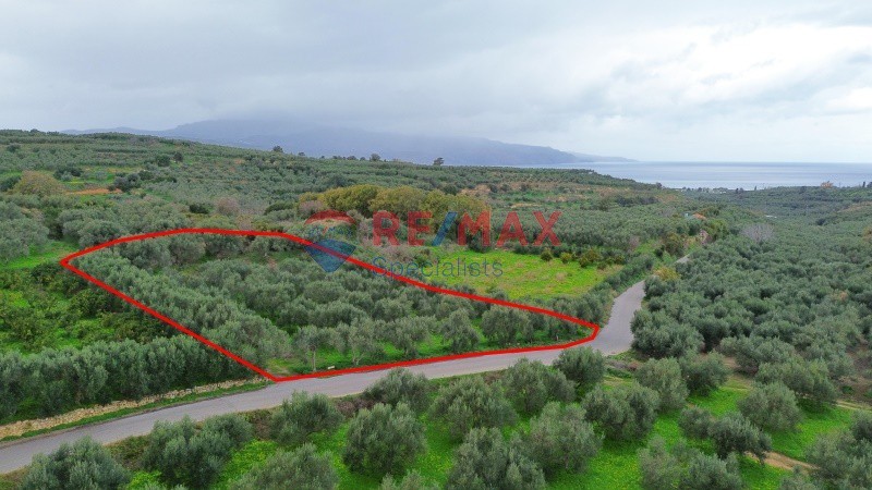 Οικόπεδο 4.091 τ.μ. πρός πώληση, Ν. Χανίων, Βουκολιές