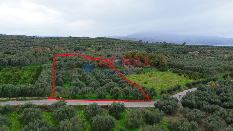 Οικόπεδο 4.091 τ.μ. πρός πώληση, Ν. Χανίων, Βουκολιές