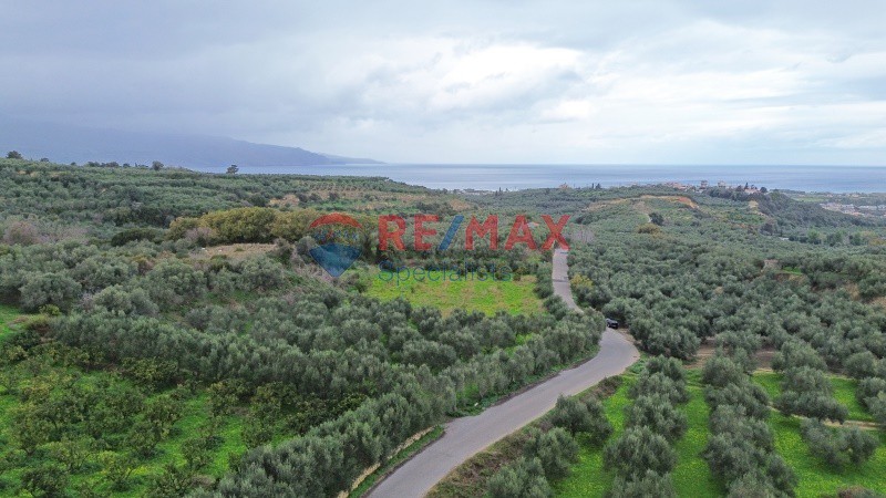 Οικόπεδο 4.091 τ.μ. πρός πώληση, Ν. Χανίων, Βουκολιές
