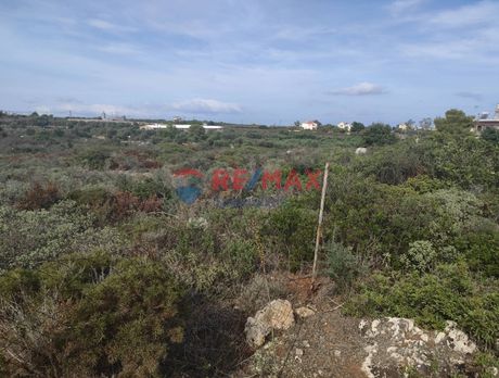 Land plot 4.200sqm for sale-Akrotiri