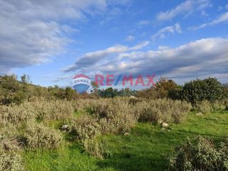 Οικόπεδο 12.800 τ.μ. για πώληση