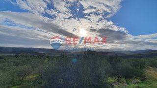 Αγροτεμάχια 4.050 τ.μ. για πώληση, Ν. Χανίων, Κολυμβάρι-thumb-5