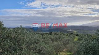 Αγροτεμάχια 4.050 τ.μ. για πώληση, Ν. Χανίων, Κολυμβάρι-thumb-4