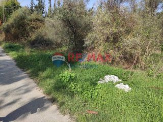 Οικόπεδο 6.000 τ.μ. για πώληση, Ν. Χανίων, Θέρισος-thumb-10