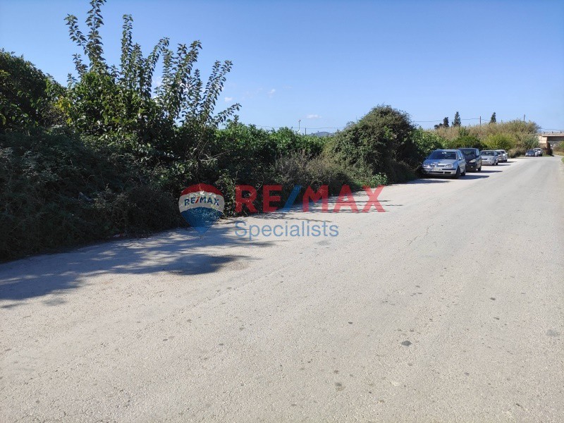 Οικόπεδο 9.500 τ.μ. πρός πώληση, Ν. Χανίων, Χανιά