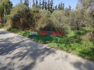 Οικόπεδο 6.000 τ.μ. για ενοικίαση, Ν. Χανίων, Χανιά-thumb-3