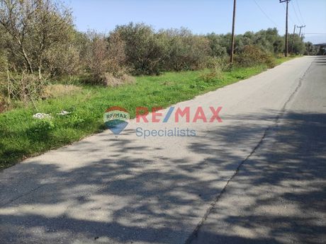 Land plot 6.000sqm for rent-Chania