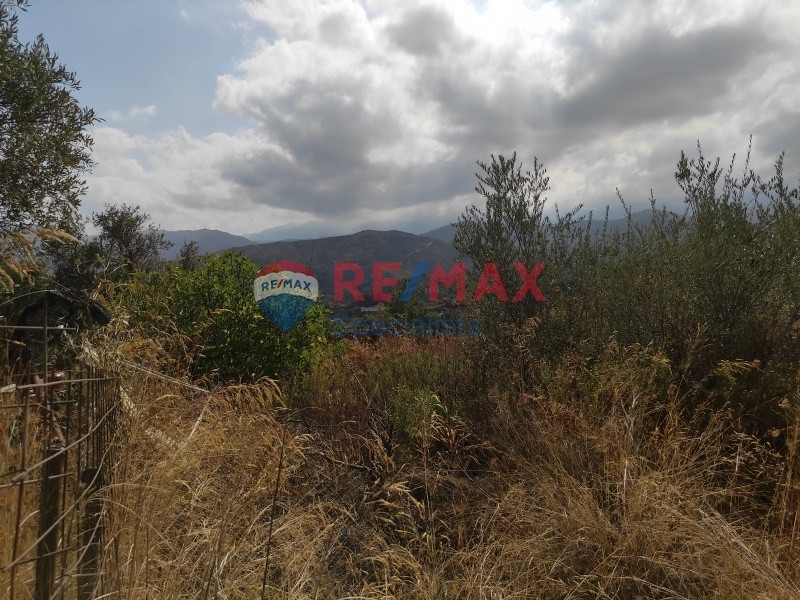 Οικόπεδο 4.200 τ.μ. πρός πώληση, Ν. Χανίων, Μουσούροι