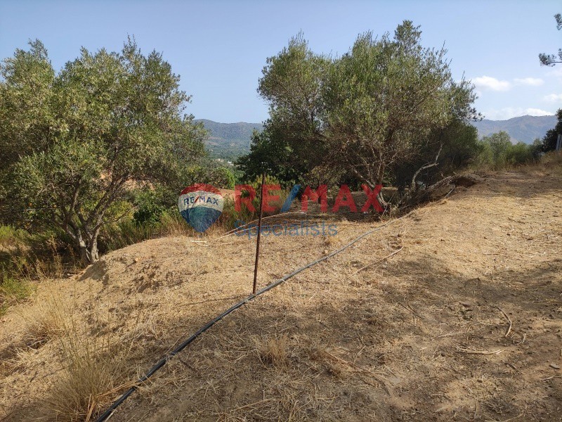 Οικόπεδο 4.200 τ.μ. πρός πώληση, Ν. Χανίων, Μουσούροι