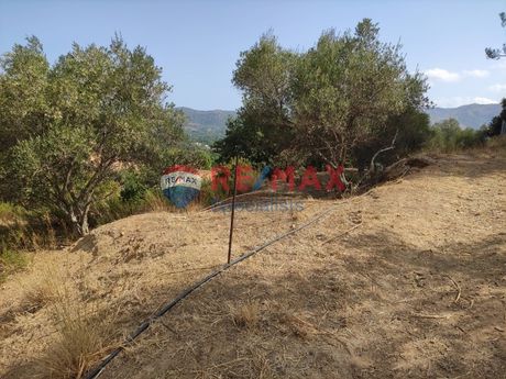 Οικόπεδο 4.200 τ.μ. για πώληση