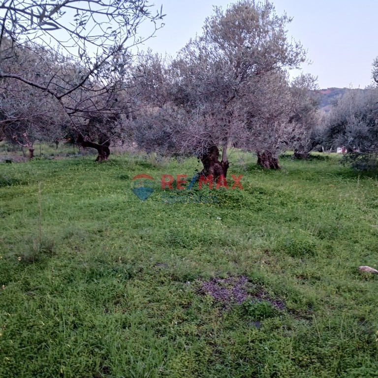 Οικόπεδο 1.062 τ.μ. πρός πώληση, Ν. Χανίων, Βουκολιές