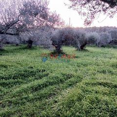 Οικόπεδο 1.065 τ.μ. για πώληση, Ν. Χανίων, Βουκολιές-thumb-2