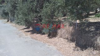 Οικόπεδο 1.060 τ.μ. για πώληση