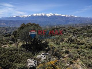 Οικόπεδο 4.000 τ.μ. για πώληση, Ν. Χανίων, Κεράμια-thumb-5