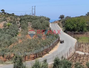 Οικόπεδο 4.000 τ.μ. για πώληση