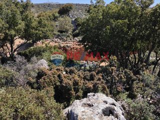 Οικόπεδο 4.000 τ.μ. για πώληση, Ν. Χανίων, Κεράμια-thumb-9