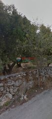 Οικόπεδο 3.600 τ.μ. για πώληση, Ν. Χανίων, Βάμος-thumb-5