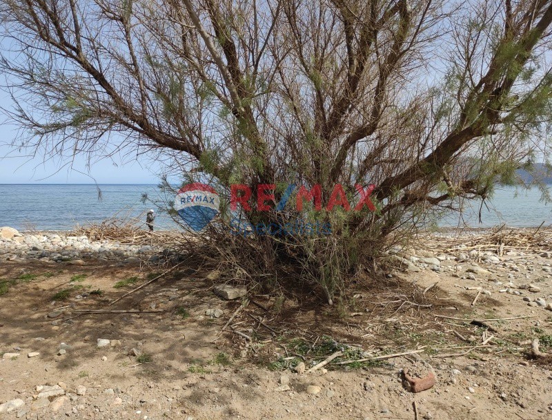 Οικόπεδο 10.500 τ.μ. προς πώληση, Κέντρο Κισσάμου