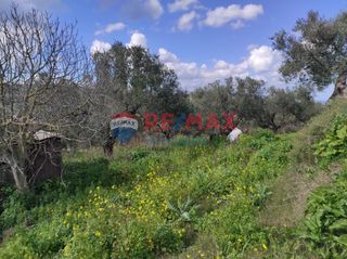 Οικόπεδο 1.405 τ.μ. για πώληση, Ν. Χανίων, Πλατανιάς-thumb-2