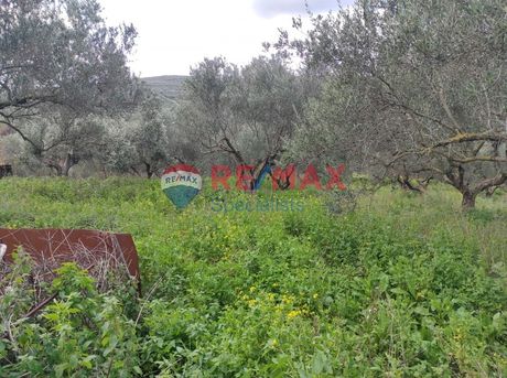 Land plot 1.405sqm for sale-Platanias