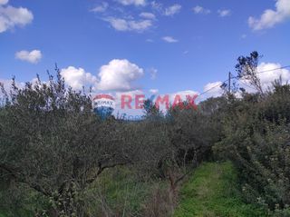 Οικόπεδο 1.405 τ.μ. για πώληση, Ν. Χανίων, Πλατανιάς-thumb-3