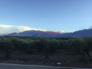 Οικόπεδο 1.729 τ.μ. για πώληση