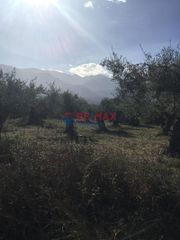 Οικόπεδο 1.729 τ.μ. για πώληση, Ν. Χανίων, Βάμος-thumb-11