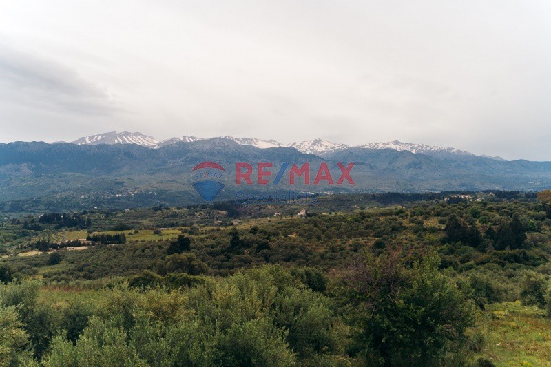Αγροτεμάχια 1.000 τ.μ. προς πώληση, Κάινα