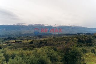 Αγροτεμάχια 1.000 τ.μ. για πώληση