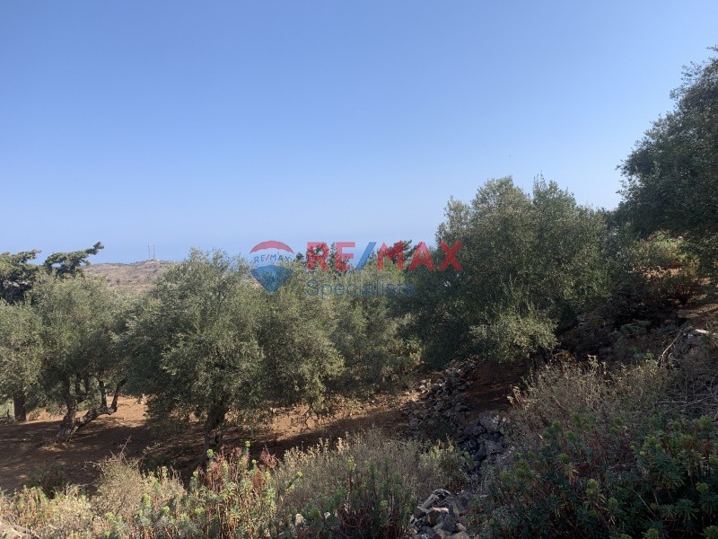 Οικόπεδο 2.041 τ.μ. προς πώληση, Σελλία Βάμου