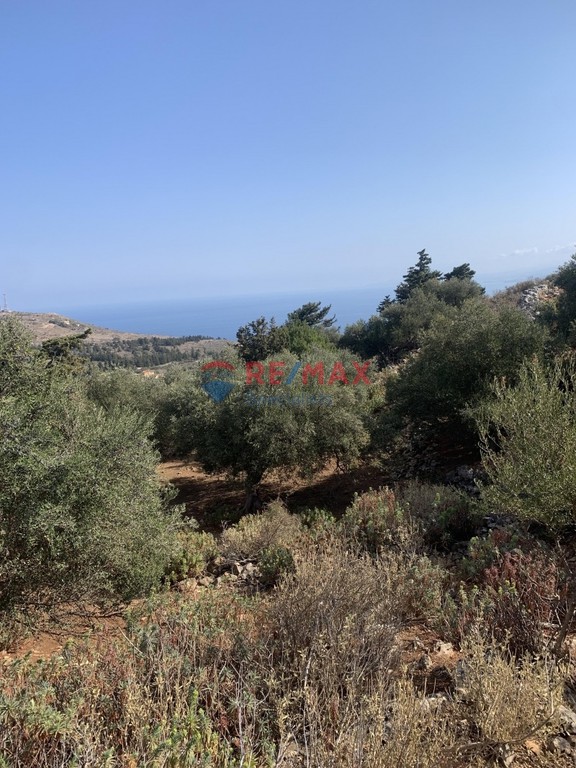 Οικόπεδο 2.041 τ.μ. προς πώληση, Σελλία Βάμου