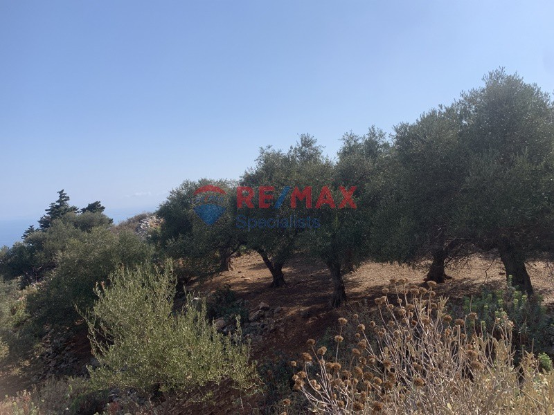 Οικόπεδο 2.041 τ.μ. προς πώληση, Σελλία Βάμου