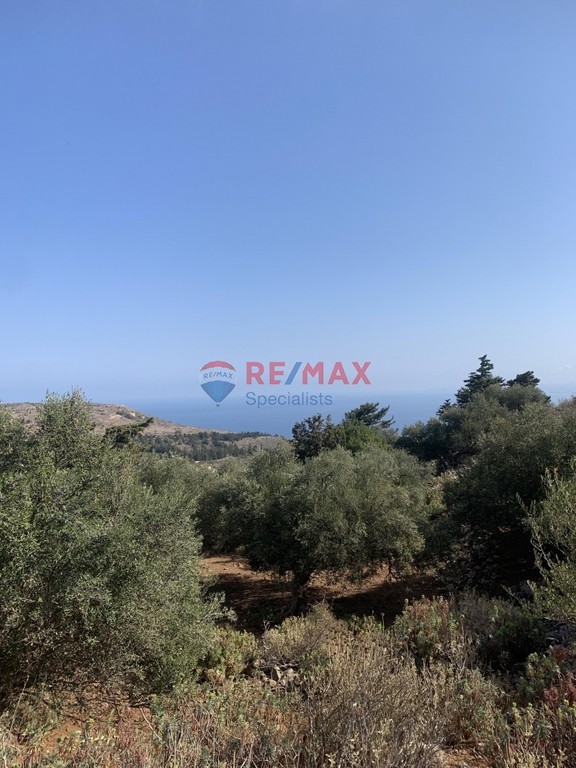 Οικόπεδο 2.041 τ.μ. προς πώληση, Σελλία Βάμου
