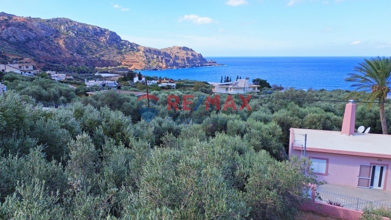 Οικόπεδο 383 τ.μ. προς πώληση, Σφηνάρι