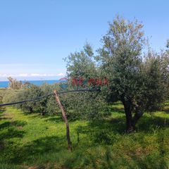 Οικόπεδο 4.484 τ.μ. για πώληση