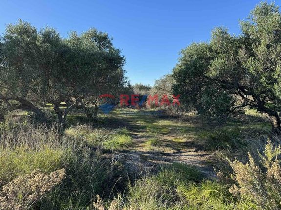 Αγροτεμάχια 20.047 τ.μ. για πώληση, Ν. Χανίων, Ακρωτήρι