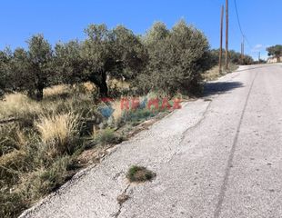 Οικόπεδο 4.108 τ.μ. για πώληση, Ν. Χανίων, Ακρωτήρι-thumb-5