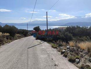 Οικόπεδο 8.120 τ.μ. για πώληση, Ν. Χανίων, Ακρωτήρι-thumb-12