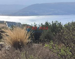 Οικόπεδο 8.120 τ.μ. για πώληση