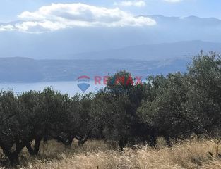 Οικόπεδο 8.120 τ.μ. για πώληση, Ν. Χανίων, Ακρωτήρι-thumb-7