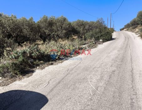 Οικόπεδο 4.012τ.μ. για πώληση-Ακρωτήρι