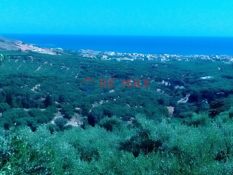 Οικόπεδο 11.000 τ.μ. προς πώληση, Γαλουβάς