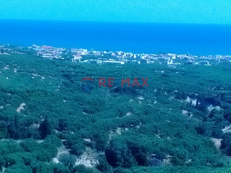 Οικόπεδο 11.000 τ.μ. προς πώληση, Γαλουβάς