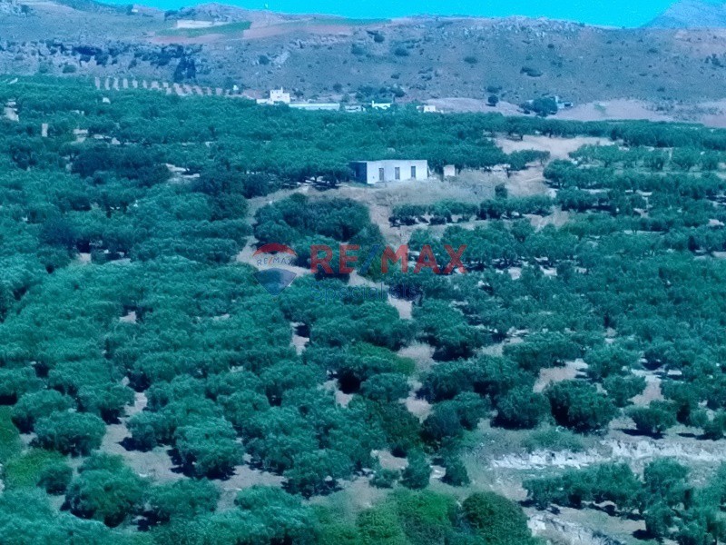 Οικόπεδο 11.000 τ.μ. προς πώληση, Γαλουβάς