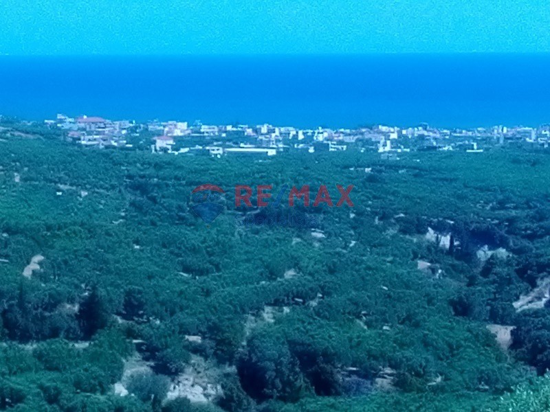 Οικόπεδο 11.000 τ.μ. προς πώληση, Γαλουβάς