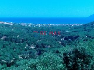 Οικόπεδο 11.000 τ.μ. για πώληση